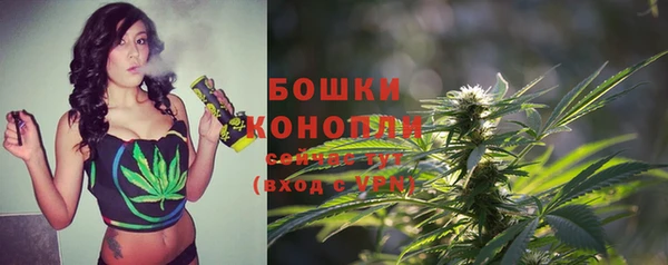 спиды Арсеньев