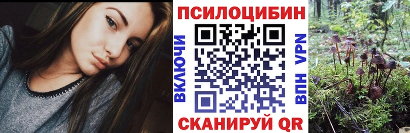 blacksprut ONION сайты даркнета Telegram Галлюциногенные грибы мухоморы Аткарск